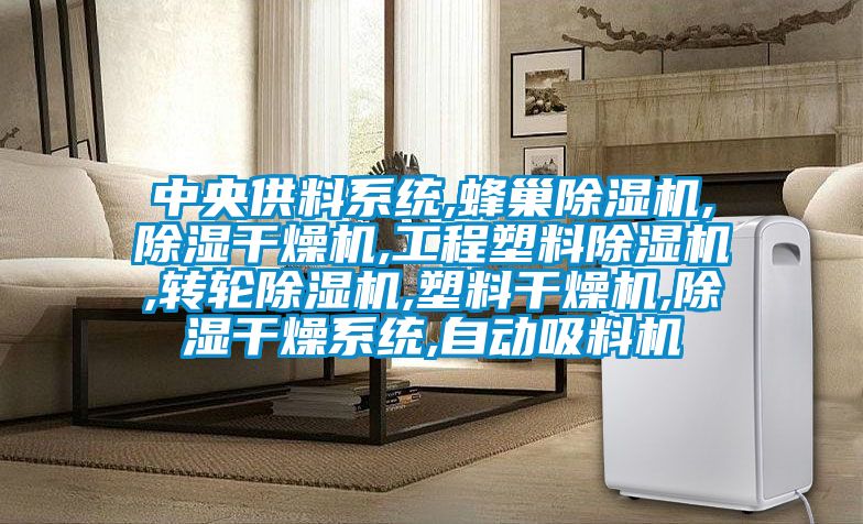 中央供料系统,蜂巢除湿机,除湿干燥机,工程塑料除湿机,转轮除湿机,塑料干燥机,除湿干燥系统,自动吸料机