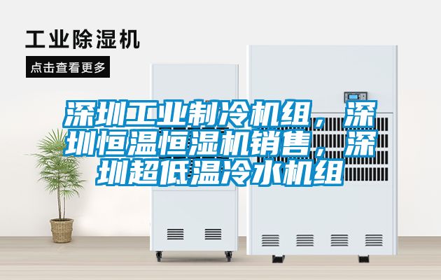 欧美黄色性爱视频网站 深圳工业制冷机组，深圳恒温恒湿机销售，深圳超低温冷水机组