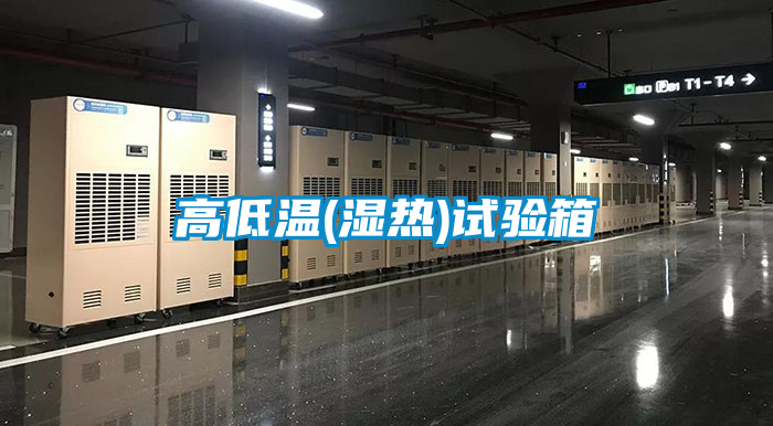 欧美黄色性爱视频网站 高低温(湿热)试验箱