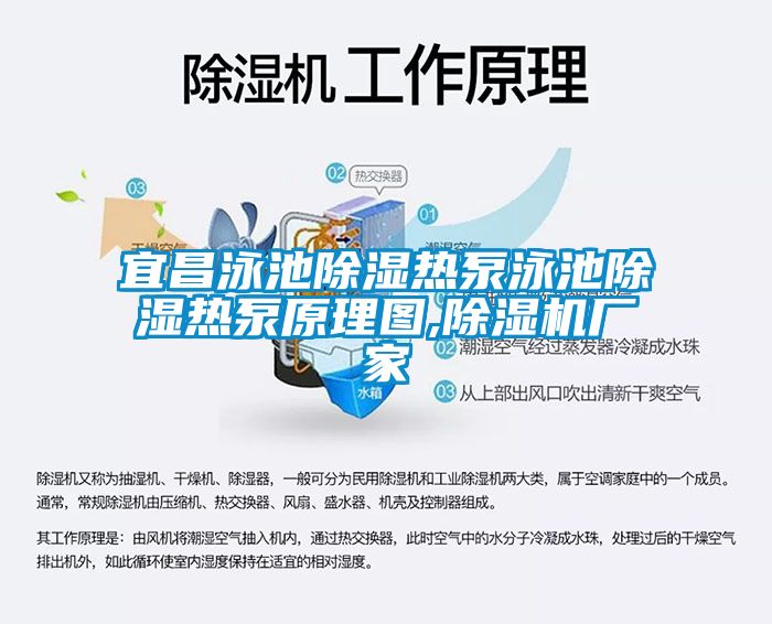 欧美成色手机在线观看 宜昌泳池除湿热泵泳池除湿热泵原理图,除湿机厂家