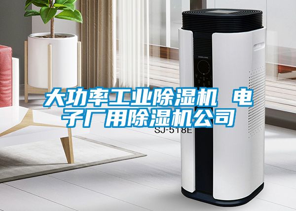 欧美黄色电影在线播放 大功率工业除湿机 电子厂用除湿机公司
