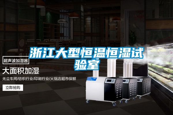 欧美黄色电影在线播放 浙江大型恒温恒湿试验室
