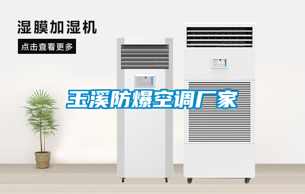 欧美黄色性爱视频网站 玉溪防爆空调厂家