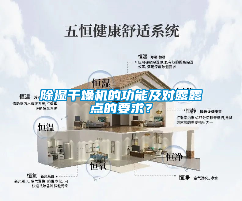 欧美黄色性爱视频网站 除湿干燥机的功能及对露露点的要求？