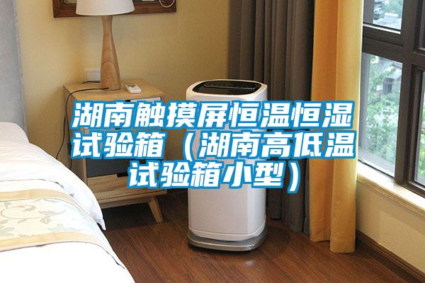欧美黄色性爱视频网站 湖南触摸屏恒温恒湿试验箱（湖南高低温试验箱小型）