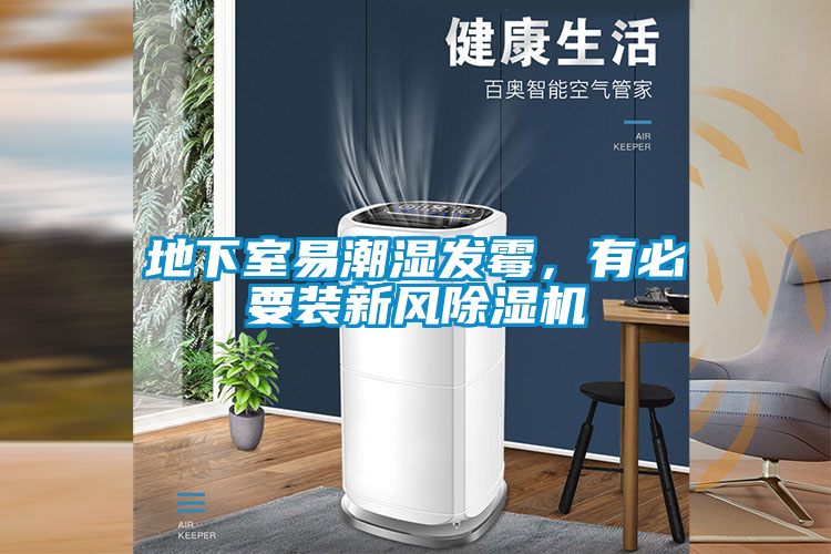 欧美黄色电影在线播放 地下室易潮湿发霉，有必要装新风除湿机