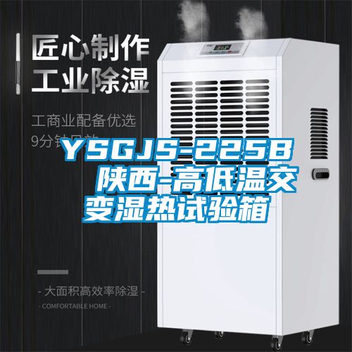 欧美黄色电影在线播放 YSGJS-225B  陕西-高低温交变湿热试验箱