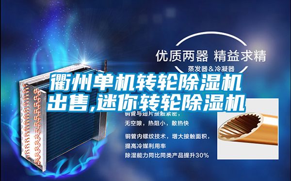 欧美成色手机在线观看 衢州单机转轮除湿机出售,迷你转轮除湿机