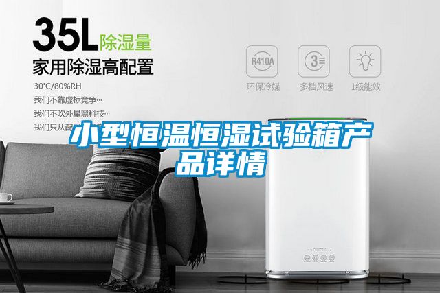 欧美成色手机在线观看 小型恒温恒湿试验箱产品详情
