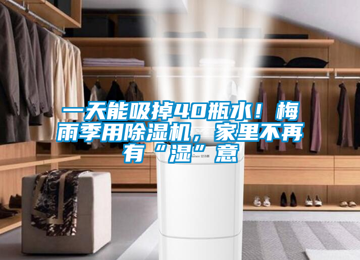 欧美成色手机在线观看 一天能吸掉40瓶水！梅雨季用除湿机，家里不再有“湿”意