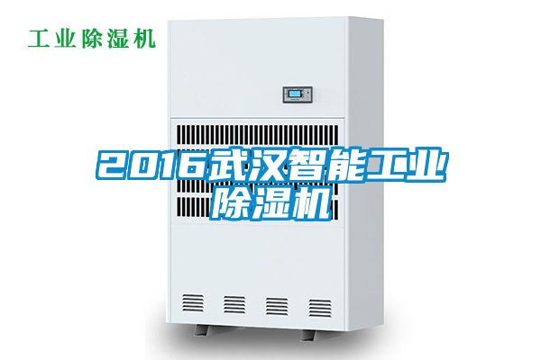 欧美黄色电影在线播放 2016武汉智能工业除湿机