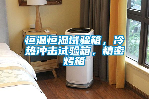 欧美黄色性爱视频网站 恒温恒湿试验箱，冷热冲击试验箱，精密烤箱