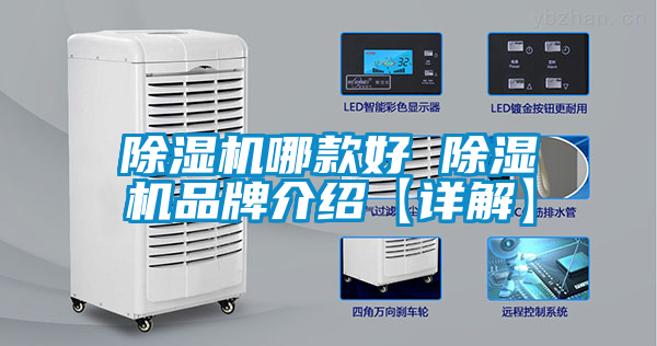 欧美成色手机在线观看 除湿机哪款好 除湿机品牌介绍【详解】