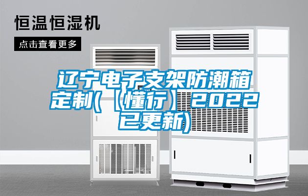 欧美黄色性爱视频网站 辽宁电子支架防潮箱定制(【懂行】2022已更新)