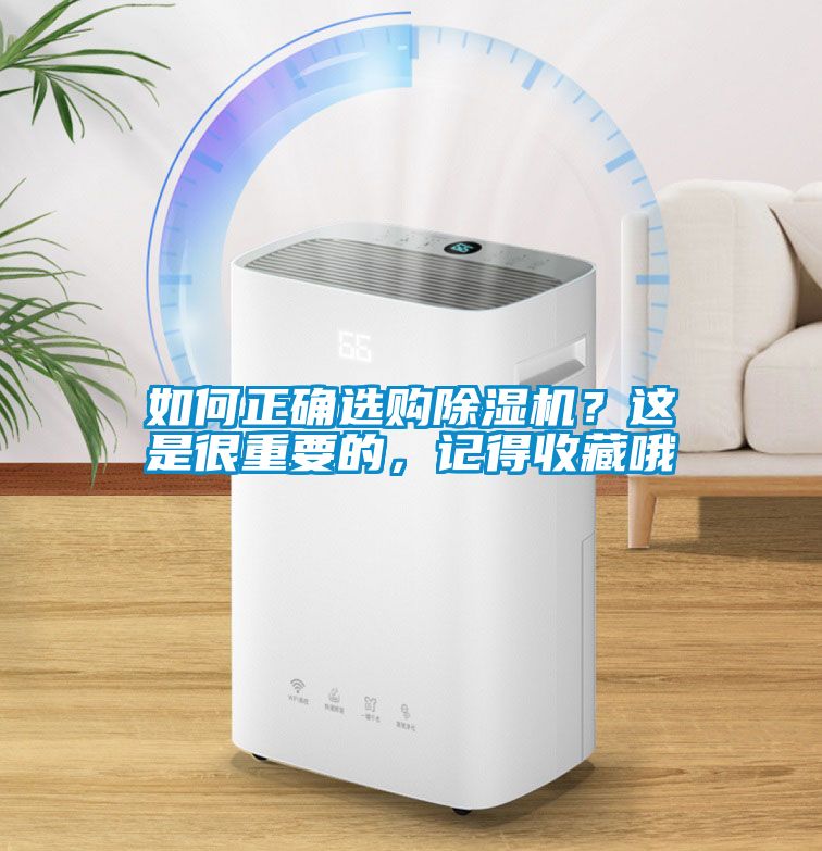 欧美成色手机在线观看 如何正确选购除湿机？这是很重要的，记得收藏哦