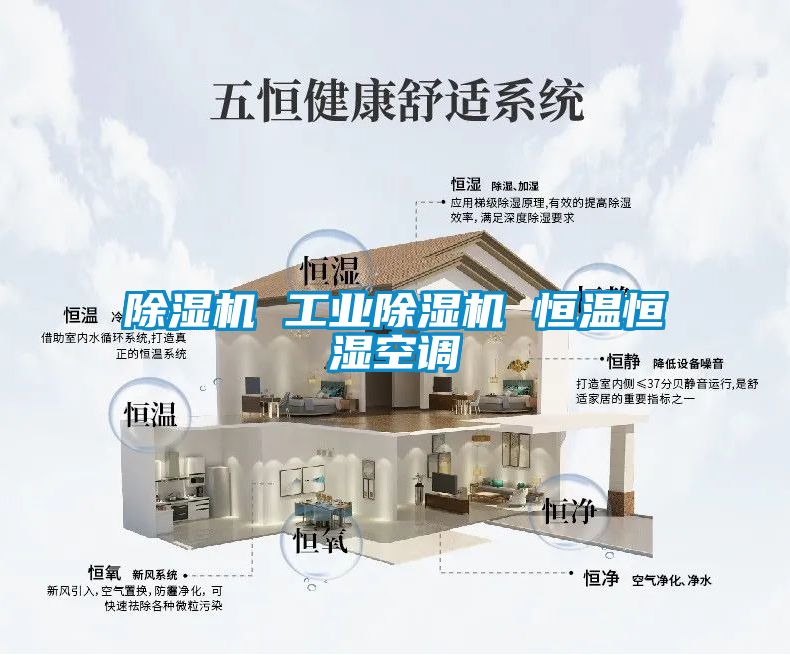 欧美成色手机在线观看 除湿机 工业除湿机 恒温恒湿空调