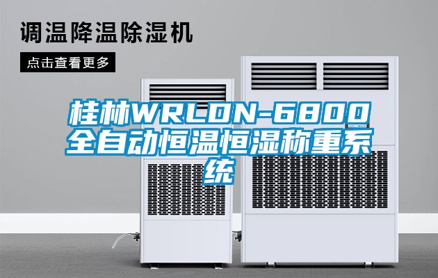 欧美黄色电影在线播放 桂林WRLDN-6800全自动恒温恒湿称重系统