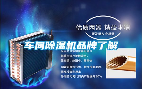欧美黄色性爱视频网站 车间除湿机品牌了解