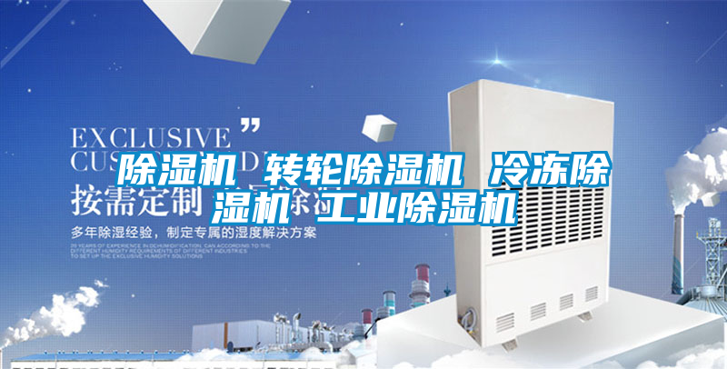 欧美黄色电影在线播放 除湿机 转轮除湿机 冷冻除湿机 工业除湿机
