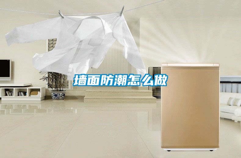 欧美黄色性爱视频网站 墙面防潮怎么做