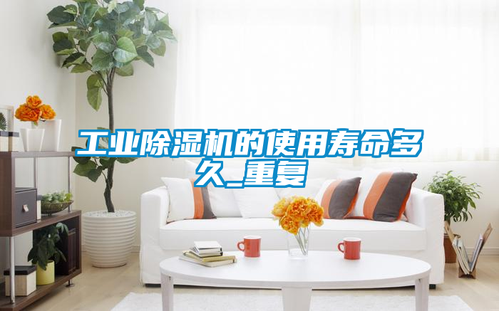 欧美成色手机在线观看 工业除湿机的使用寿命多久_重复