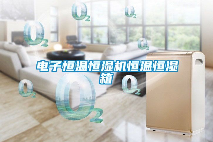 欧美成色手机在线观看 电子恒温恒湿机恒温恒湿箱