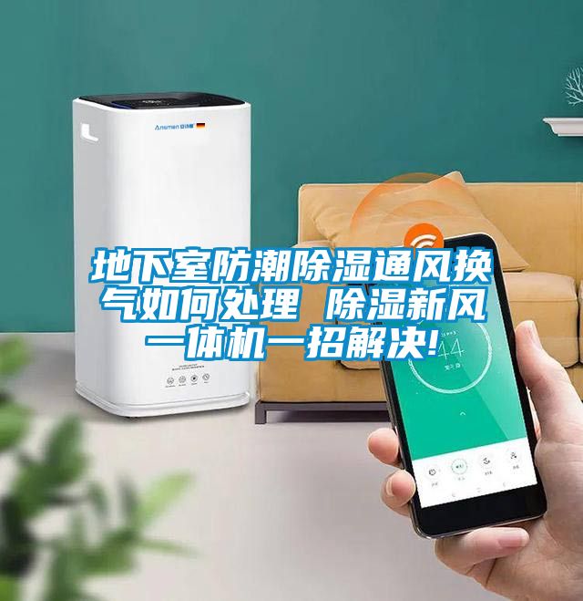 欧美成色手机在线观看 地下室防潮除湿通风换气如何处理 除湿新风一体机一招解决!
