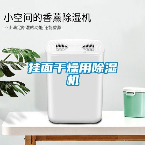 欧美成色手机在线观看 挂面干燥用除湿机
