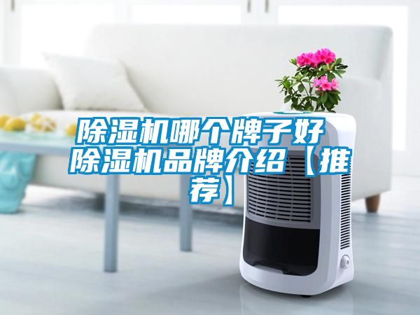 欧美黄色性爱视频网站 除湿机哪个牌子好 除湿机品牌介绍【推荐】
