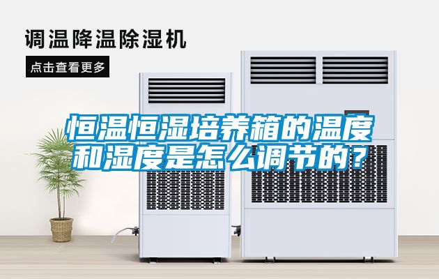 欧美黄色电影在线播放 恒温恒湿培养箱的温度和湿度是怎么调节的？