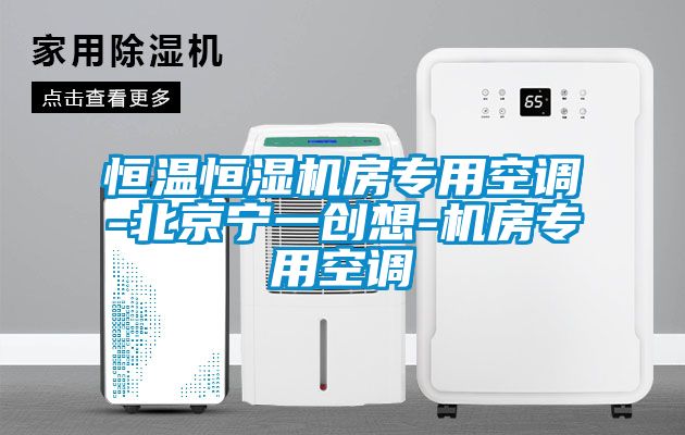 欧美黄色电影在线播放 恒温恒湿机房专用空调-北京宁一创想-机房专用空调