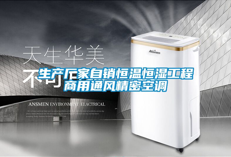 欧美黄色性爱视频网站 生产厂家自销恒温恒湿工程商用通风精密空调