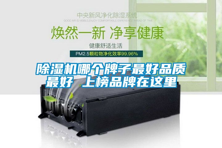 欧美黄色电影在线播放 除湿机哪个牌子最好品质最好 上榜品牌在这里
