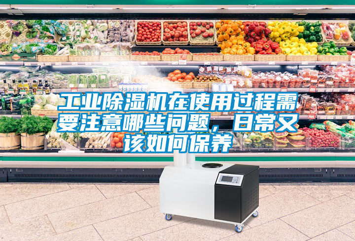 欧美黄色性爱视频网站 工业除湿机在使用过程需要注意哪些问题，日常又该如何保养