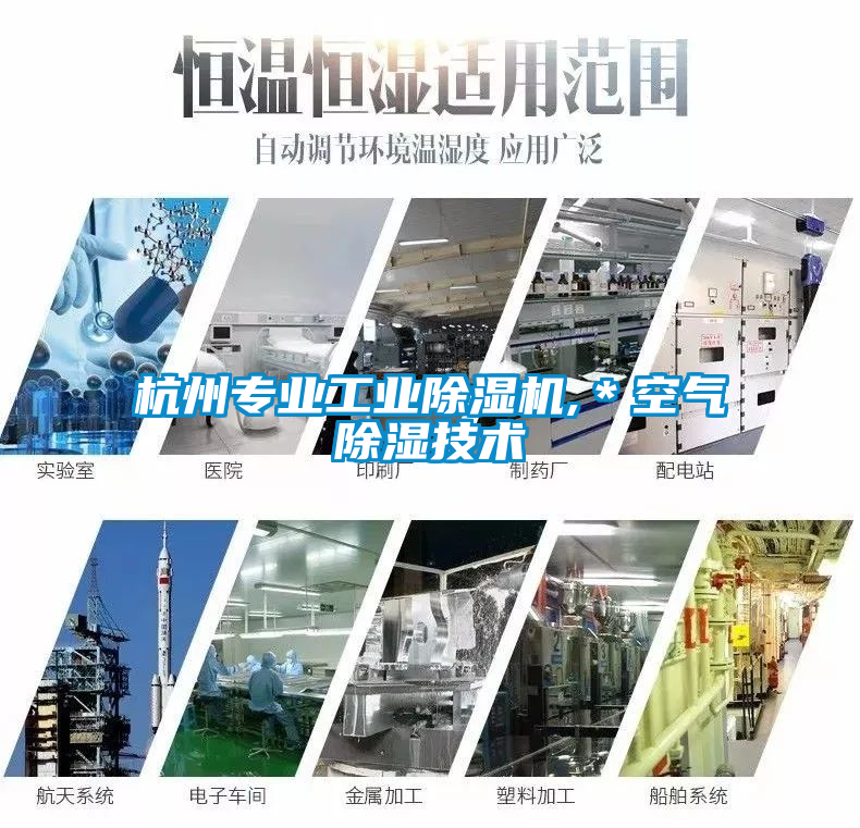 欧美黄色性爱视频网站 杭州专业工业除湿机,＊空气除湿技术