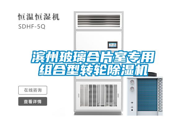 欧美黄色电影在线播放 滨州玻璃合片室专用组合型转轮除湿机