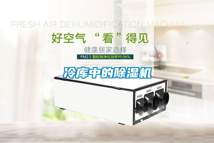 欧美成色手机在线观看 冷库中的除湿机