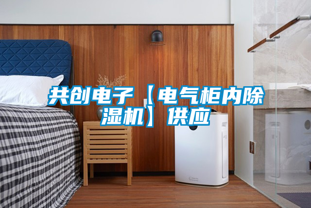欧美黄色电影在线播放 共创电子【电气柜内除湿机】供应