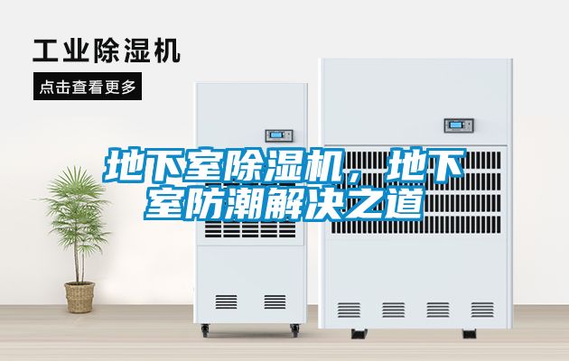 欧美黄色性爱视频网站 地下室除湿机，地下室防潮解决之道