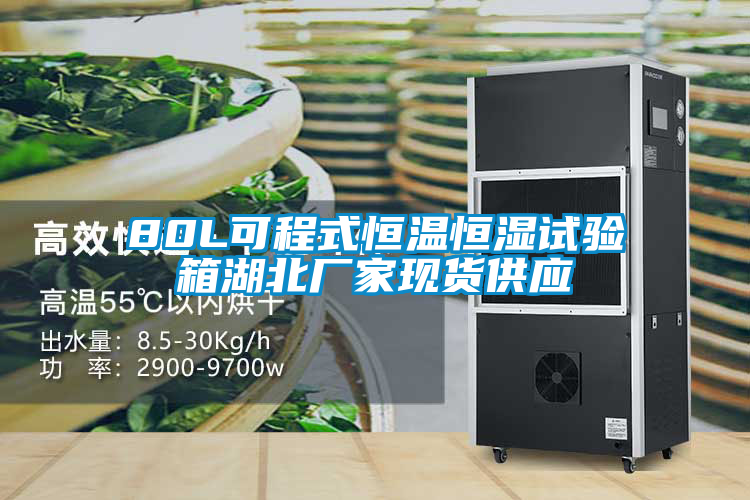 欧美黄色电影在线播放 80L可程式恒温恒湿试验箱湖北厂家现货供应
