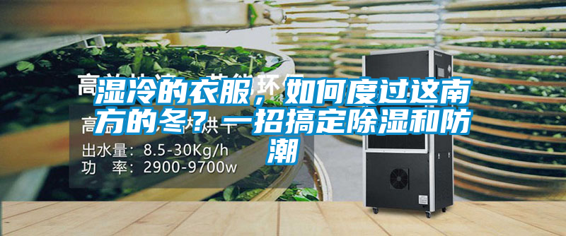 欧美黄色电影在线播放 湿冷的衣服，如何度过这南方的冬？一招搞定除湿和防潮