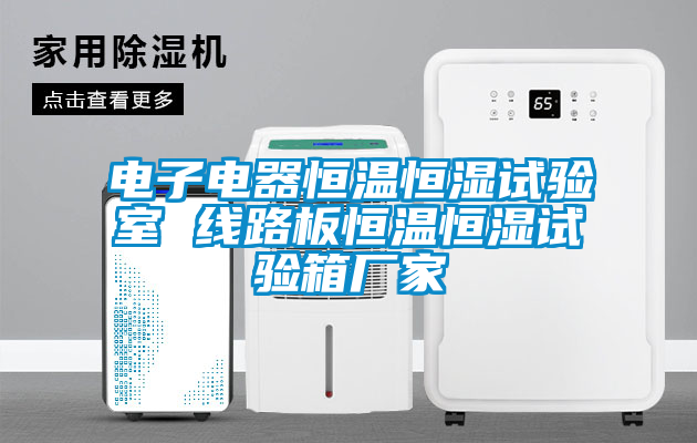 欧美黄色性爱视频网站 电子电器恒温恒湿试验室 线路板恒温恒湿试验箱厂家