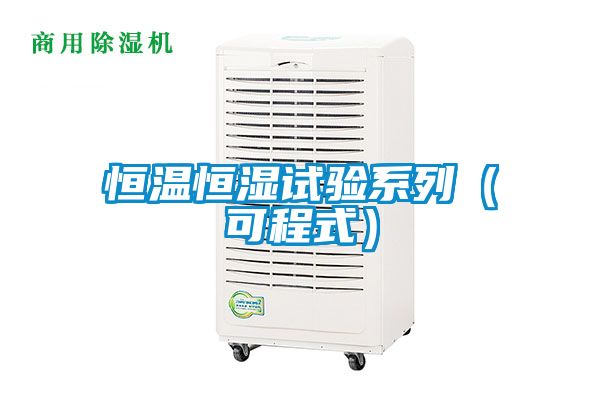 欧美黄色电影在线播放 恒温恒湿试验系列（可程式）