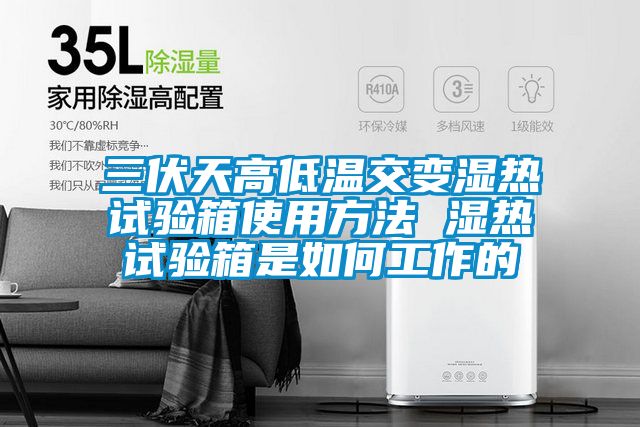 欧美黄色电影在线播放 三伏天高低温交变湿热试验箱使用方法 湿热试验箱是如何工作的