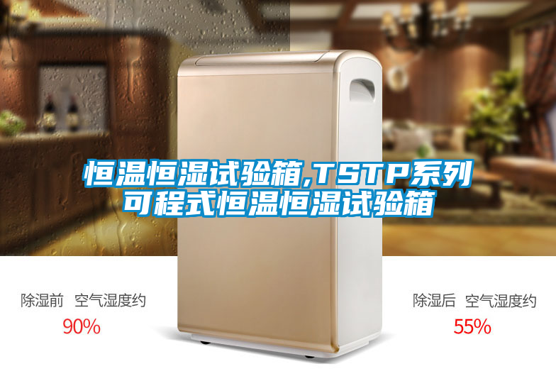 欧美黄色性爱视频网站 恒温恒湿试验箱,TSTP系列可程式恒温恒湿试验箱