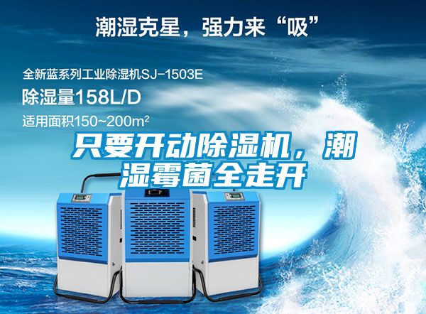欧美黄色电影在线播放 只要开动除湿机，潮湿霉菌全走开