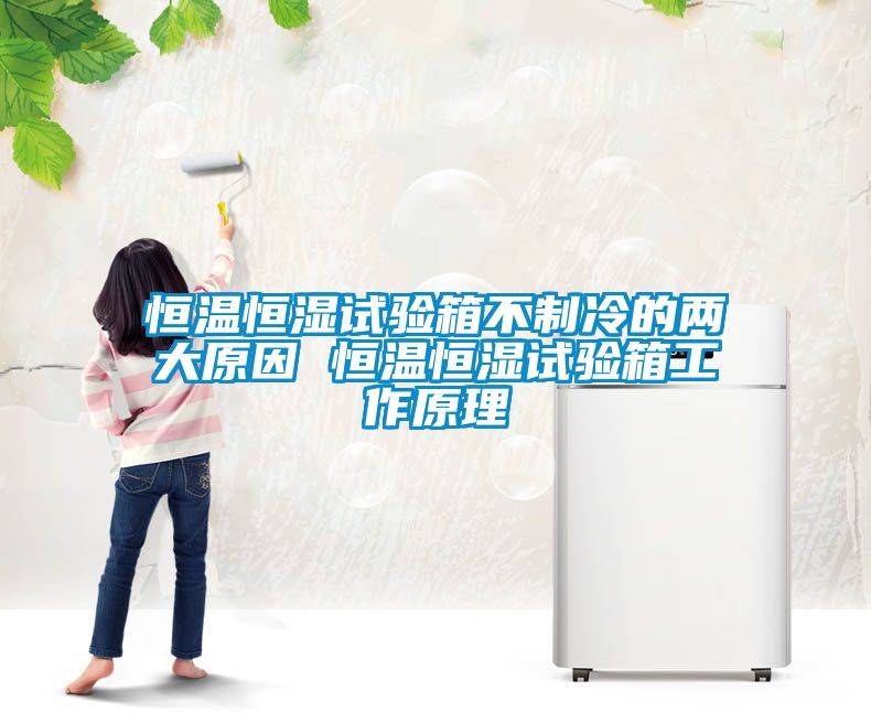 欧美黄色电影在线播放 恒温恒湿试验箱不制冷的两大原因 恒温恒湿试验箱工作原理