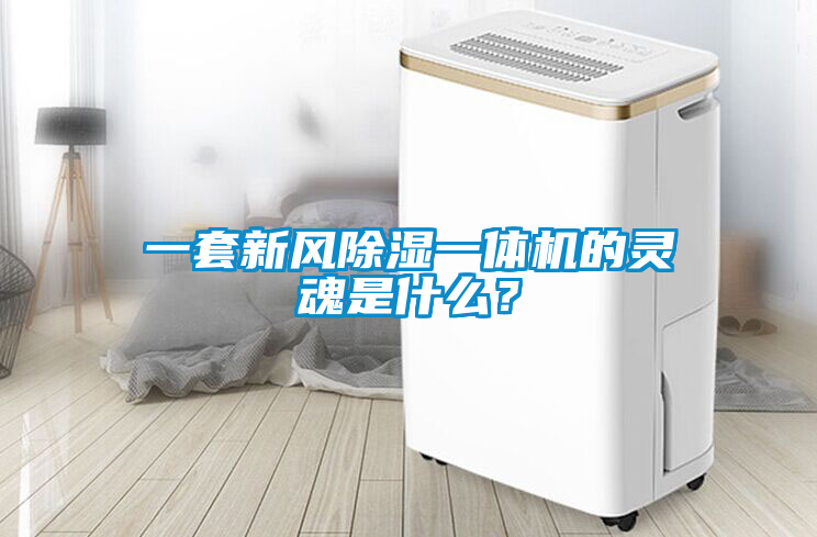 欧美成色手机在线观看 一套新风除湿一体机的灵魂是什么？