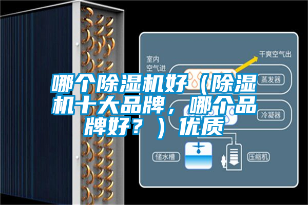 欧美黄色性爱视频网站 哪个除湿机好（除湿机十大品牌，哪个品牌好？）优质
