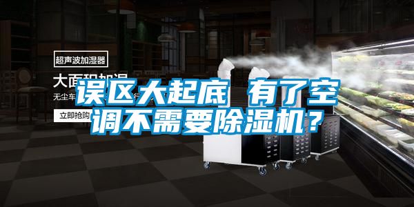 欧美黄色电影在线播放 误区大起底 有了空调不需要除湿机？